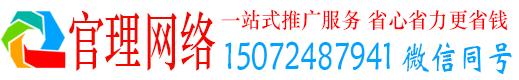 龙文官理百度网络推广